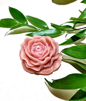 شمع گل آلاله قهوای