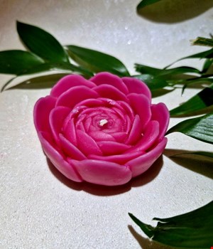 شمع گل پیونی قرمز