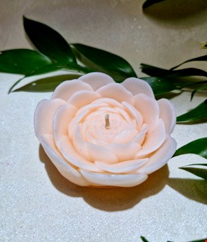 شمع گل پیونی نود