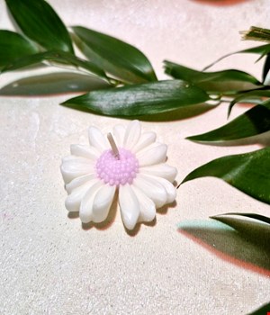 شمع گل بابونه صورتی