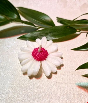 شمع بابونه  قرمز