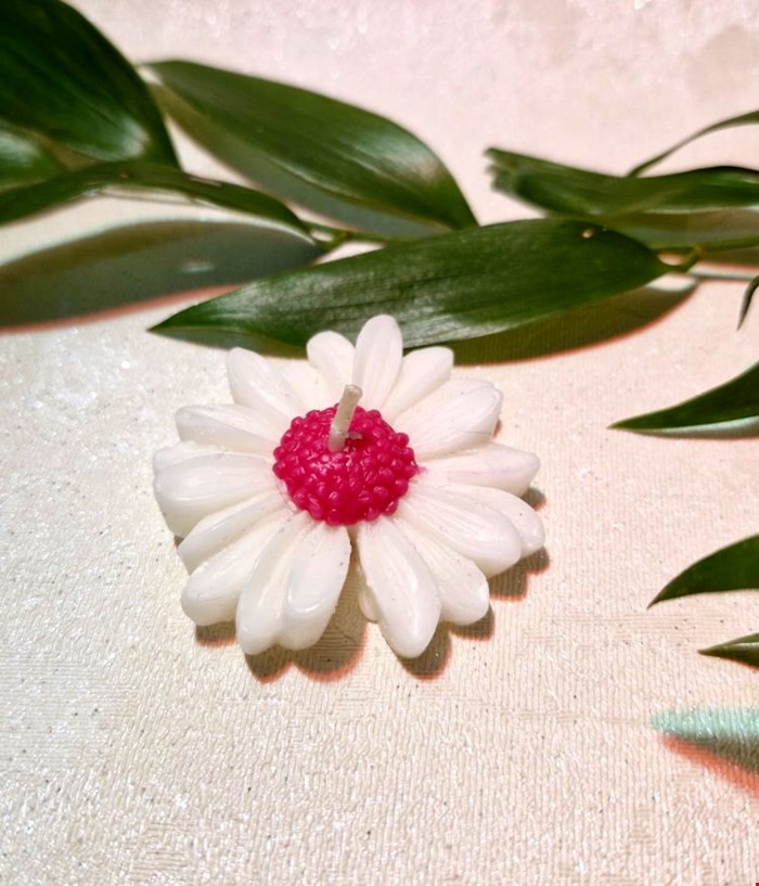 شمع بابونه  قرمز