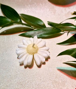 شمع بابونه زرد