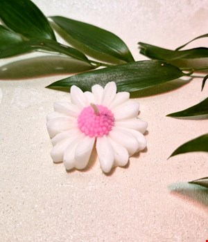 شمع بابونه صورتی 