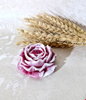 گل الاله دورنگ